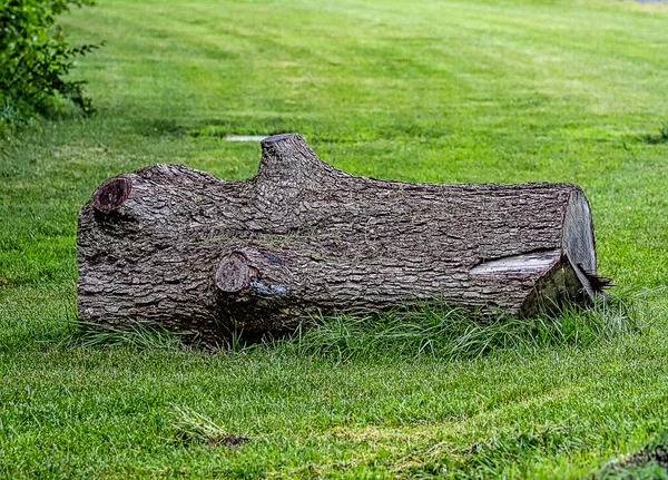 Huge Log Lying Lawn Some Time Deeply Grooved Bark — Stockfoto