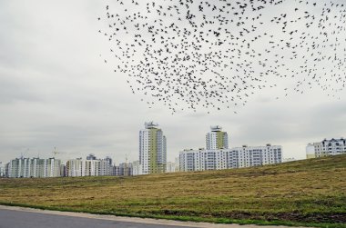 Minsk'te yeni bina