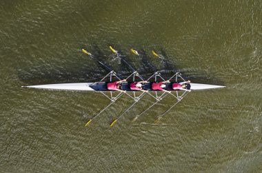 Women's rowing team, top view clipart