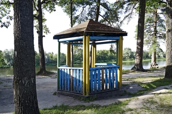 Tom arbor i tallskog på stranden av floden — Stockfoto