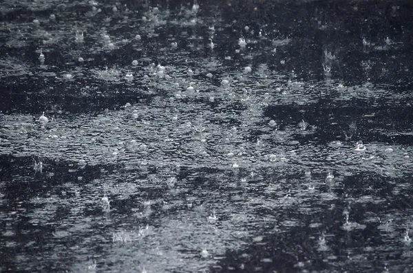 Regendruppels — Stockfoto