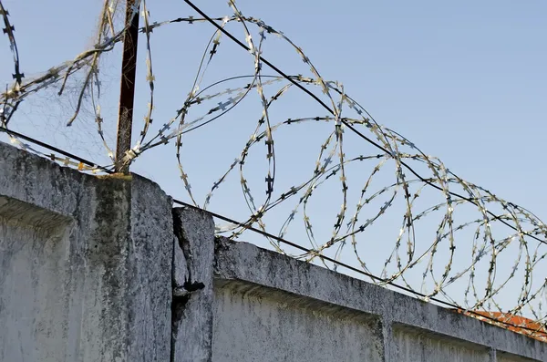 Barbed wire — Stock Photo, Image