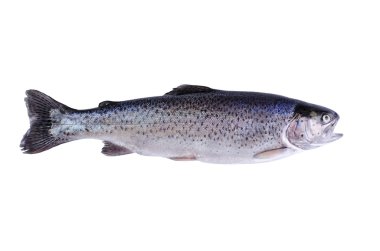 Alabalık