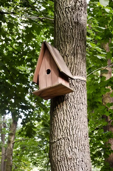 Casita de pájaros — Foto de Stock