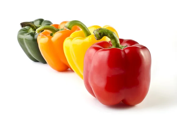 Vier kleurrijke paprika's, gerangschikt in een enkele lijn — Stockfoto