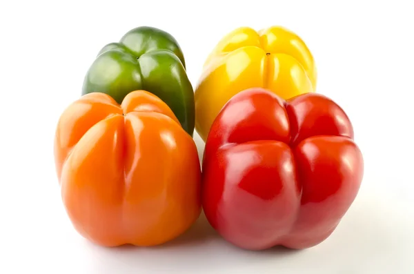 Vier kleurrijke paprika's geïsoleerd over Wit — Stockfoto