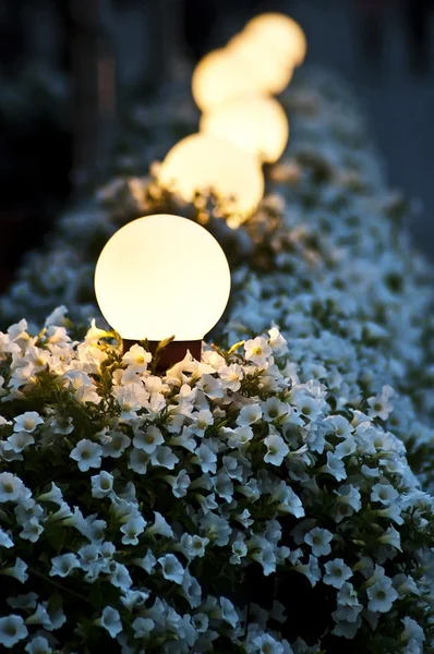 Farola en cama de flores por la noche — Foto de Stock