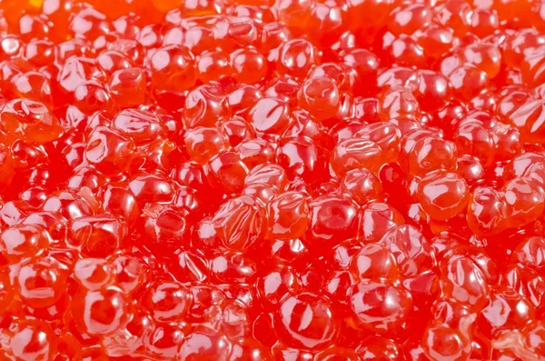 Roter Kaviar in Großaufnahme — Stockfoto