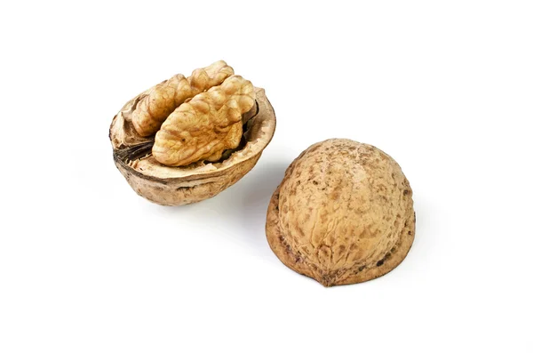 Орехи, изолированные над белым — стоковое фото