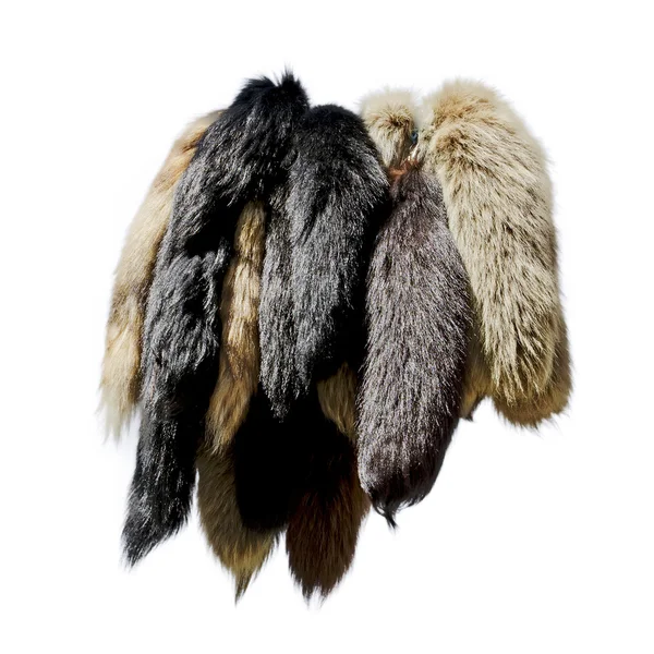 Fur skins — Stock Photo, Image