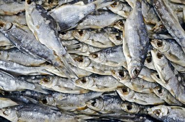 kurutulmuş balık arka plan