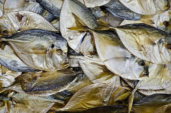 Background of dried fish — Stock Photo, Image