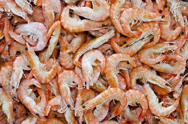 Background of shrimp — Stock Photo, Image