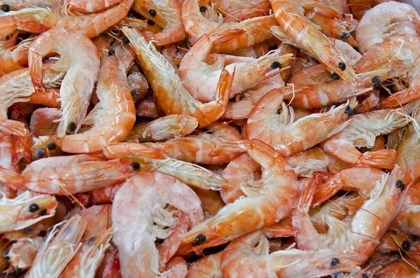 Background of shrimp — Stock Photo, Image