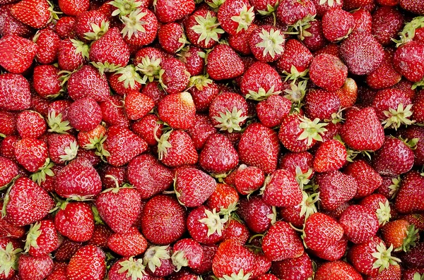 Achtergrond van aardbeien — Stockfoto