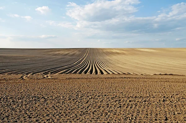 Plowed field — Stock Photo, Image