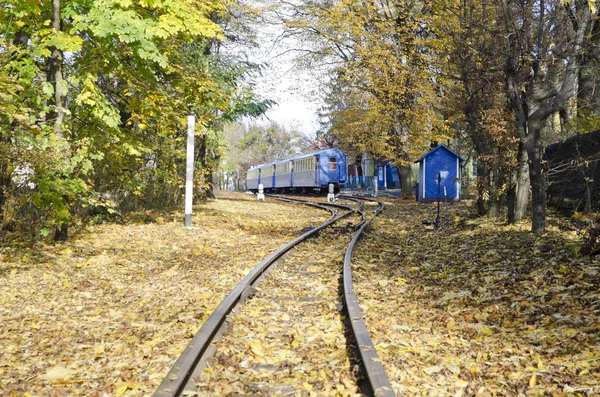 Children 's Railway — стоковое фото