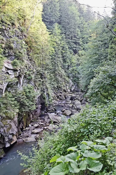 Schlucht in den Karpaten — Stockfoto