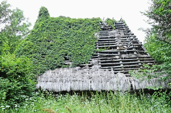 Überwachsene wilde Trauben altes Haus — 图库照片