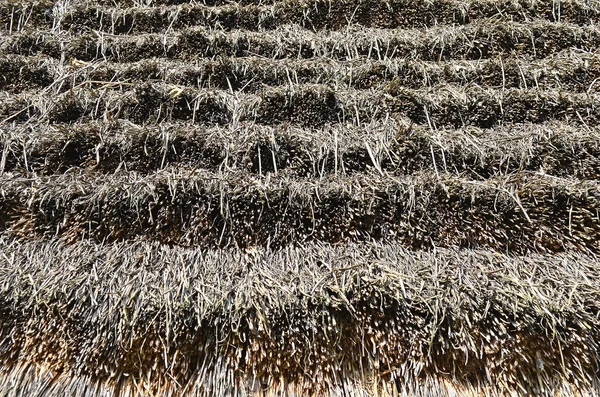 Texture of straw — Stock Photo, Image