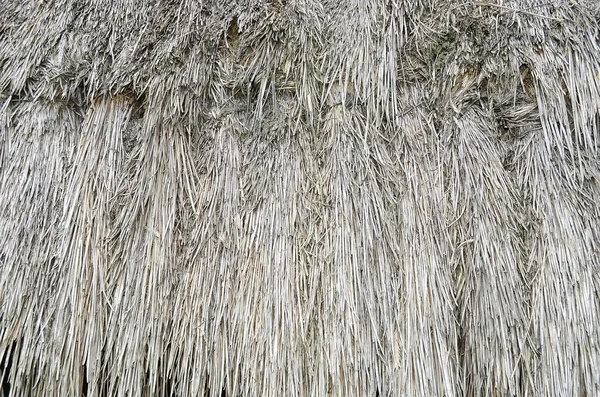 Texture of straw — Stock Photo, Image