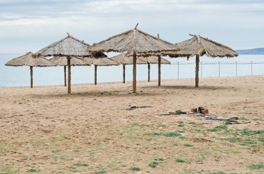 Issız bir sahildeki sazlıktan Kırım 'a kadar plaj şemsiyeleri.