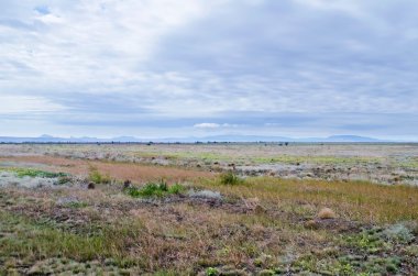 Bozkır peyzaj Kırım