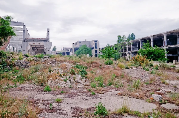 Руины промышленного завода — стоковое фото