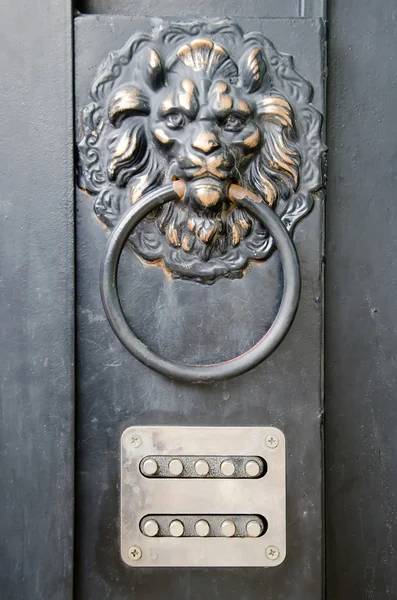 Poignée de porte - tête de lion — Photo