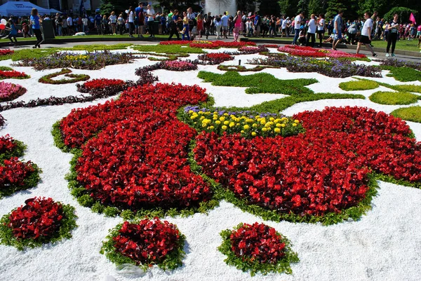 Red Flowers Flower Garden Kyiv — Stock Photo, Image