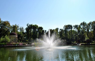 Parktaki gölün güzel manzarası