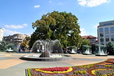 Fountain and flowers in Kharkiv