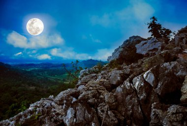 Gökyüzüne karşı kayaların manzarası. Huzurlu doğayla kaplı bulutlar. Ormandaki vahşi doğanın üzerinde güzel, parlak bir dolunay. Ulusal Park 'tan huzur dolu bir arka plan.