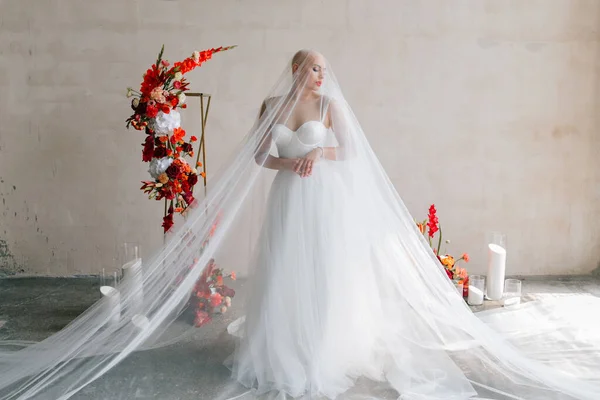 Bald Beautiful Bride Luxurious Wedding Dress Red Lipstick Long Veil — Foto de Stock