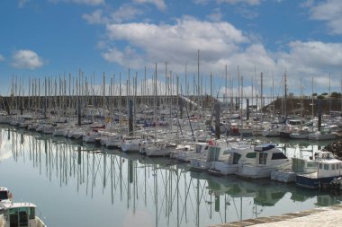 Bir marinada demirlemiş eğlence tekneleri ve yatları.