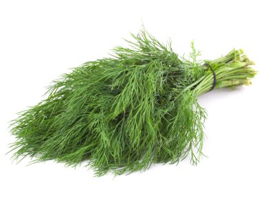 Dill.