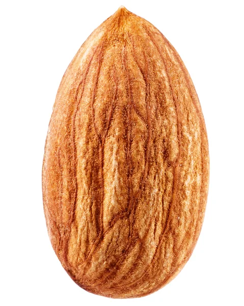 Almonds — Stock Photo, Image