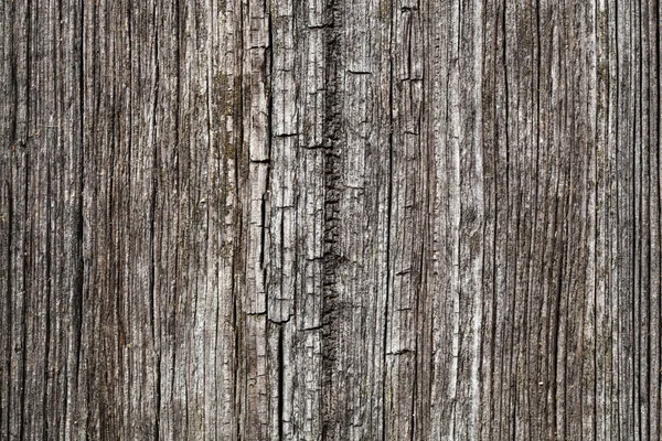 Wooden — Stock Photo, Image