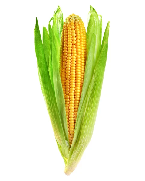 Кукурудза, ізольовані — стокове фото