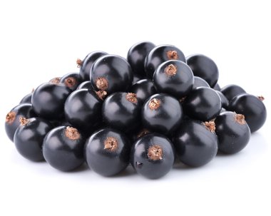 Siyah frenk üzümü