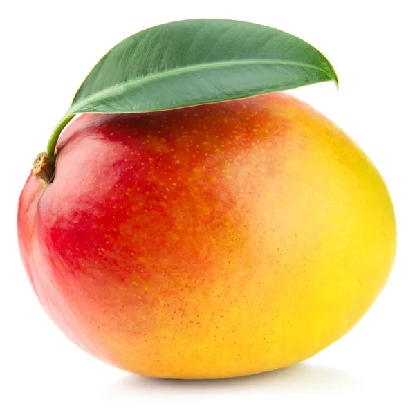 Mango. Imagen De Stock