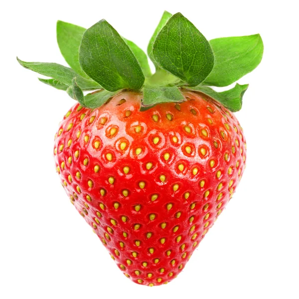 Strawberries — Stock Photo, Image