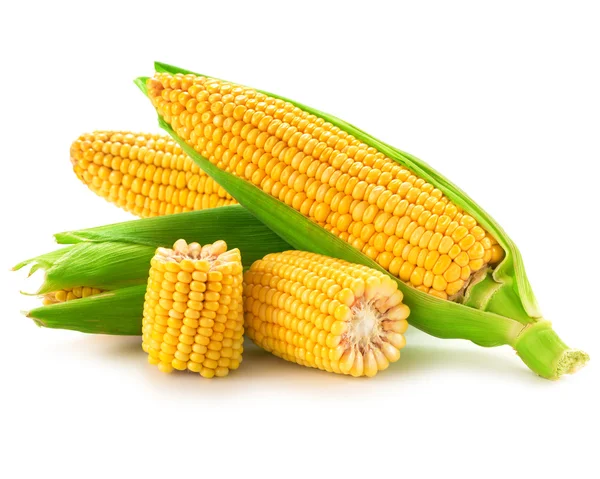 Corn — Stock Photo, Image