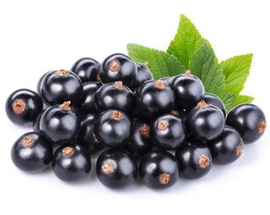 Siyah frenk üzümü