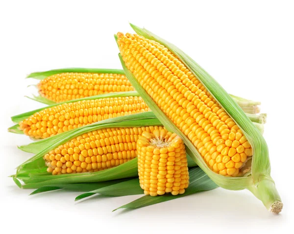 An ear of corn — Stock Photo, Image