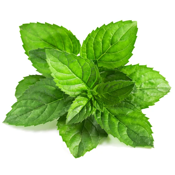 Fresh mint — Stock Photo, Image