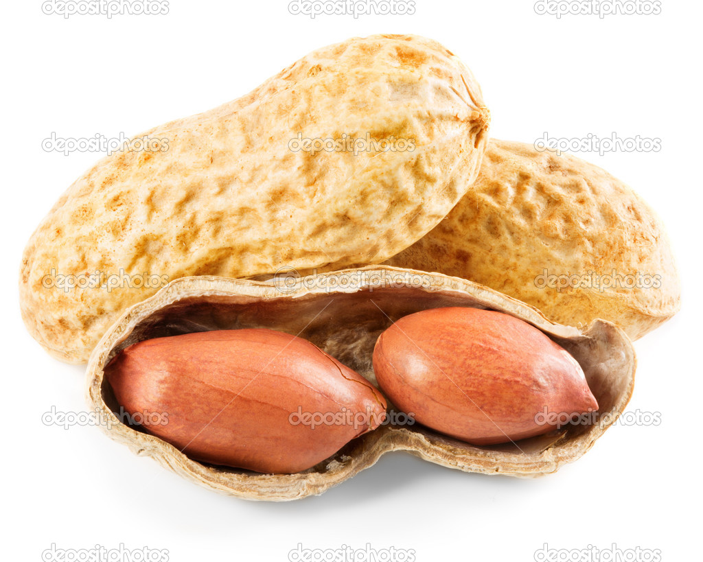 peanut 