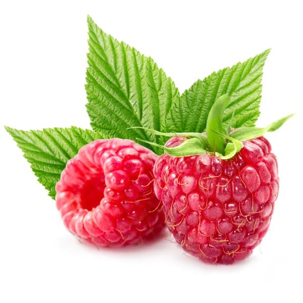 Raspberries — Stock Photo, Image