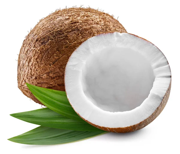 Kokosnöt Färsk Ekologisk Kokos Isolerad Vit Bakgrund Coconut Makro Med — Stockfoto