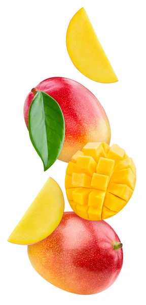 Mango Volante Con Foglie Verdi Isolate Fondo Bianco Collezione Mango — Foto Stock